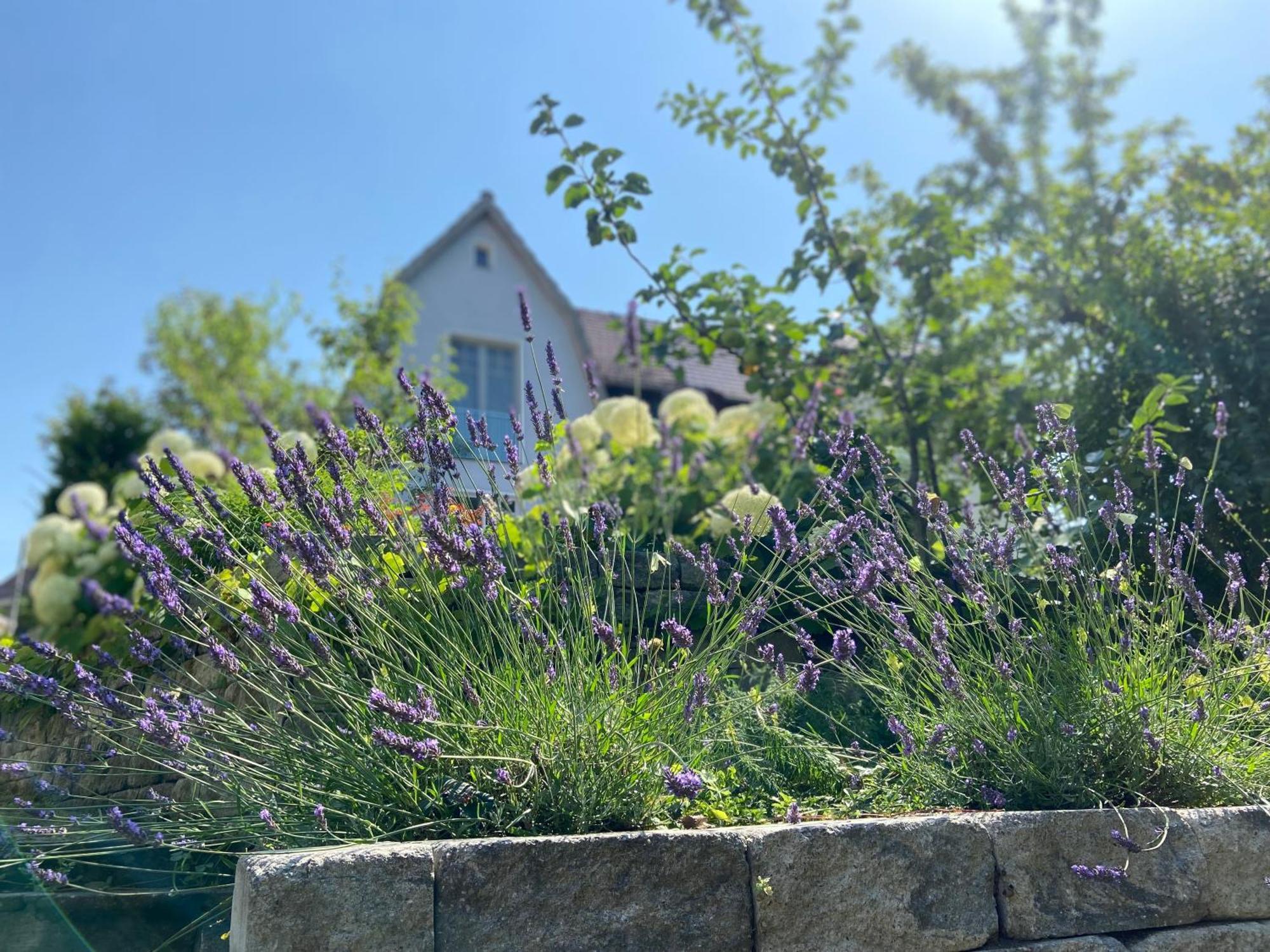 Romantik Idyll Am Tiefental Konigsbruck Bagian luar foto